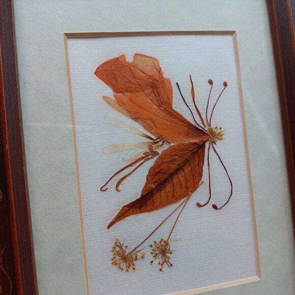HANDMADE VINTAGE Framed Pressed Flower BUTTERFLY 8 x 10 inches - Picture 5 of 5